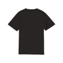 Puma teamGOAL Jersey fotballtrøye junior Svart 164