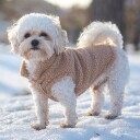 Teddy Hundevest Tan