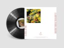 Ed Davenport Carry On Mezzh Vinyl