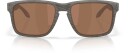 Oakley Holbrook XXL m/PRIZM Tungsten Polar