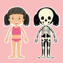 Barbo Toys Body Puzzle - Girl Gulv