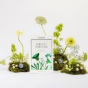 DAVROE Volume Senses Trio Pack