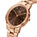 Daniel Wellington DW Klokke Iconic Link Amber 36mm Roségull