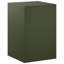 vidaXL Planteholder Olivengrønn 40 x 40 x 60 cm Cortenstål
