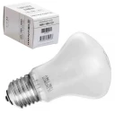 Elinchrom EL-23002 Innstillingslys 100W E27 sokkel, 196V, 3200kelvin, ca75timer