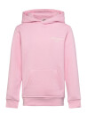 Björn Borg Borg Essential 1 Hoodie Pink 158 164