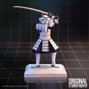 Stormtrooper The Last Samurai