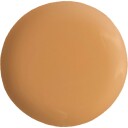 PÜR Cosmetics 4-in-1 Skin Tint Foundation SPF50 TN2