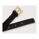 Elisabetta Franchi, Dame, Accessories, Svart, L,