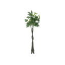 Europalms Pachira Balltree, 160cm
