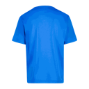 Puma individualRISE Graphic Jersey, fotballtrøye, junior Blue 128
