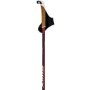 Swix Dynamic D1 Pole, Tcs Ass 165