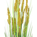 Europalms Parrot Grass, 120cm