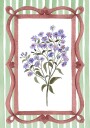 Asters in an Ornate Frame   Sage Green Stripes Plakat Plakat / 40x50cm