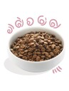 Edgard Cooper Fresh Free-Run Duck & Chicken Puppy 12Kg (542503948523)