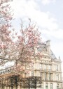 Parisspring Ratio2x3 Plakat Plakat / 50x70cm