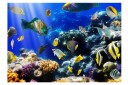 Fototapet Underwater Adventure 300x210 - Artgeist sp. z o. o.