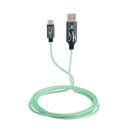 Harry Potter Light-Up USB til USB-C Kabel 1,2m Grønn/Svart