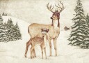 Deer Wearing Cozy Hats Plakat Plakat / 50x70cm