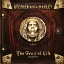 Stephen Marley Revelation Part Ii The Fruit Of Life Vinyl