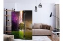 Kadira Rumsavdelare 135x172 cm VALUE_MISSING_1 -