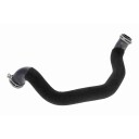 VAICO V30 4862 Radiatorslange
