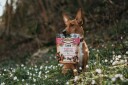 Carnilove Lam og Tyttebær 200 g Sprø Godbiter til Hund - Kornfri Snacks