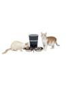 Petsafe 2-Pet Meal Splitter With Bowl (729849170797)