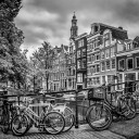 AMSTERDAM Flower Canal black & white Plakat Plakat / 50x50cm