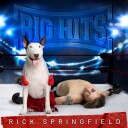 Rick Springfield  Big Hits: Rick Springfield's Greatest Hits Vol. 2  LP/Vinyl