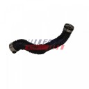 FAST FT01199 Ladeluftslange