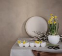 Cooee Design Påskedekorasjon eggerekke hvit