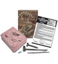 4M Udgrav Et Pteranodon-Skelet