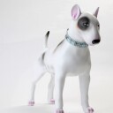 Bling Halsbånd Til Hund Og Katt