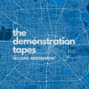 The Demonstration Tapes Second Amendment Vinyl