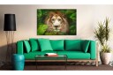 Bilde Eyes Of The Jungle 60x40 Artgeist sp. z o. o.