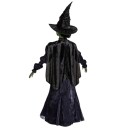 Disguise Kostymer Ond Elphaba Disguise 7-8 år (122-128) Kostymer Lilla Svart 167029K-EU-NC