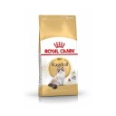 Royal Canin Ragdoll Voksen Tørrfôr til Katt 400 g