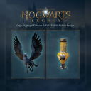 Hogwarts Legacy (PS5)