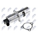 EGR Ventil NTY EGR-MS-000
