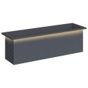 vidaXL Hageplantekasse med LED Antrasitt 30 x 100 x 30 cm Stål