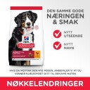 Hill's Science Plan Hundefôr Voksen Stor Rase Kylling 14 kg - Tørrfôr for Ledd og Muskelmasse