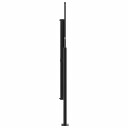  Uttrekkbar sidemarkise antrasitt 180x300 cm 4004353