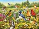 Puslespill 500 Fugler i Engen Ravensburger