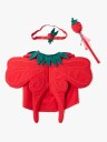 Kid"s Concept Strawberry Fairy Dress-Up - Red - ONE SIZE