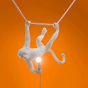 Monkey Hengelampe Utendørs 59 x 44 cm Svart