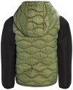 Nordbjørn Pine Hybrid Lettvektsjakke Green 80