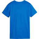 PUMA teamGOAL Trenings T skjorte Dame Blå 2XL