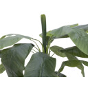 Europalms Banana Tree, 170cm