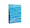 Burgess Yachts